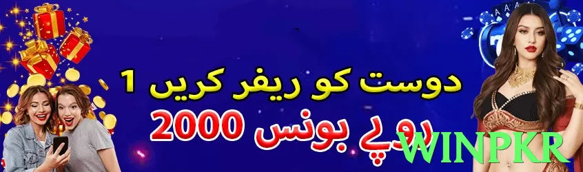 winpkr interface sample - 3